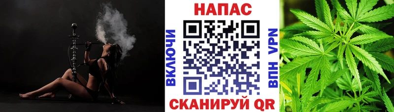 Купить Александровское Каннабис OG Kush